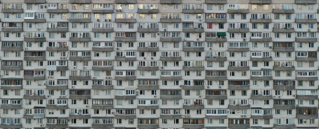 Муравейник,  - Фото с квадрокоптера