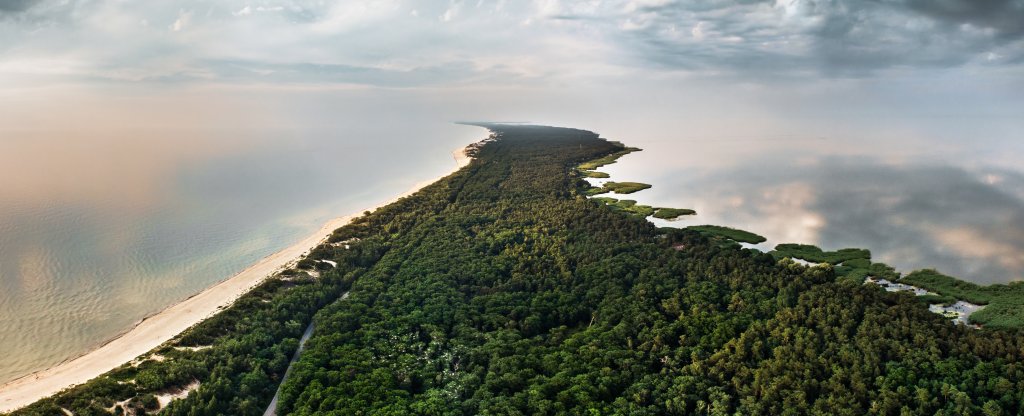 Куршская коса, Зеленоградск - Фото с квадрокоптера