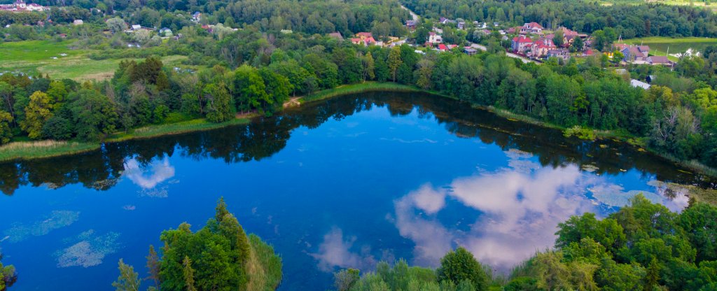 Ленинградская область, заброшенный Ропшинский парк,  - Фото с квадрокоптера