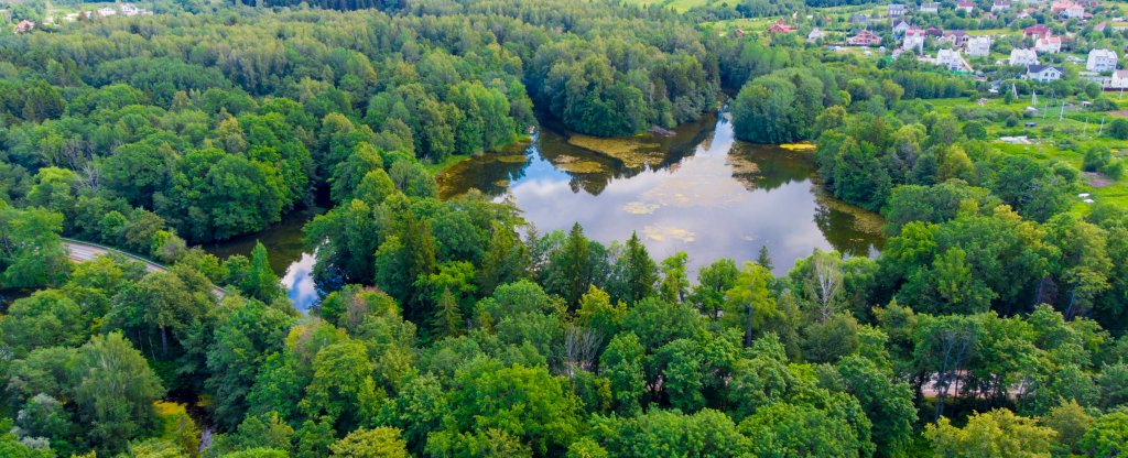 Ленинградская область, заброшенный Ропшинский парк,  - Фото с квадрокоптера