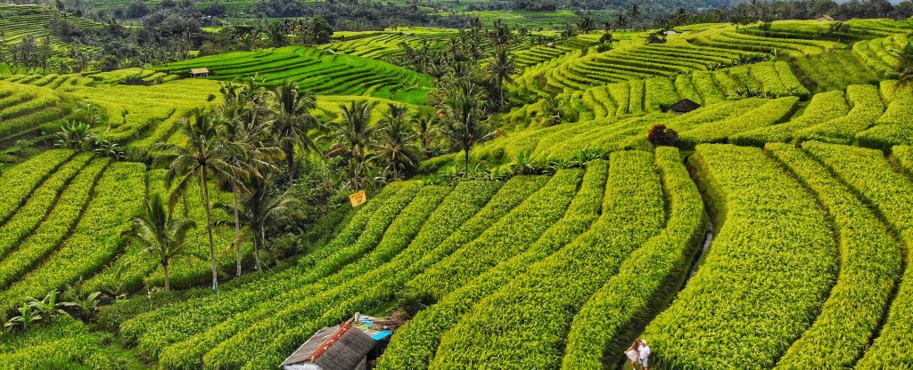 Bali,  - Фото с квадрокоптера