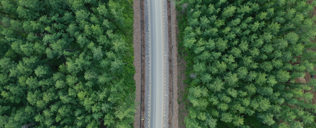 Дорога в лесу, Южно-Сахалинск - Фото с квадрокоптера