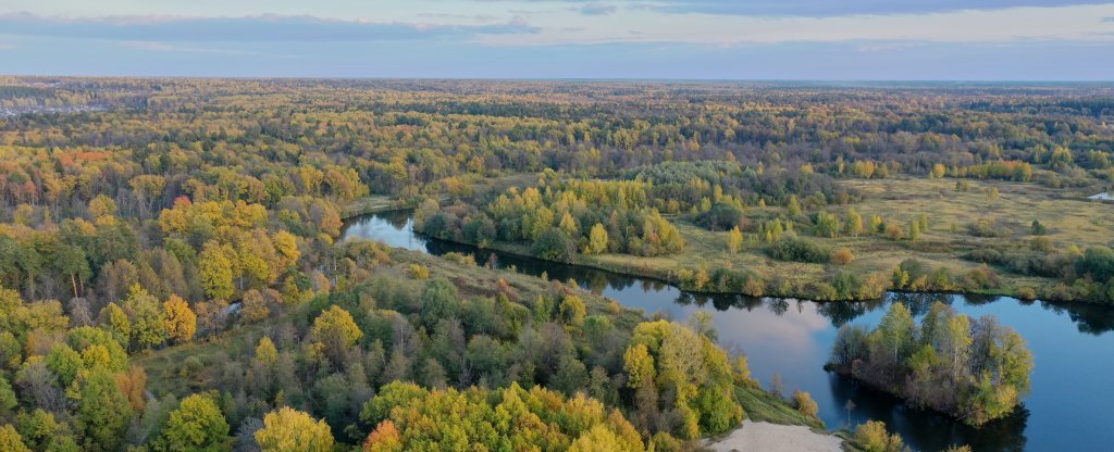 Прогулка в лесу, Йошкар-Ола - Фото с квадрокоптера