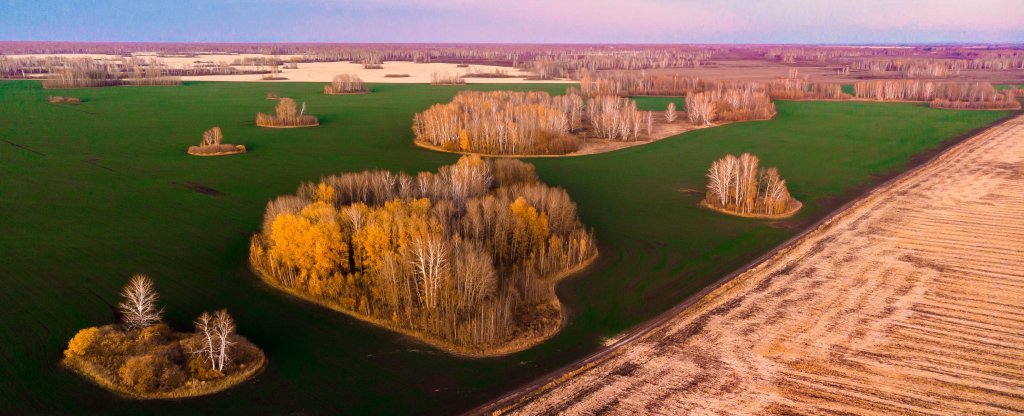 Осенний лес, Новосибирск - Фото с квадрокоптера