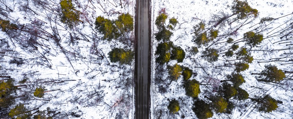 зимний лес за городом,  - Фото с квадрокоптера