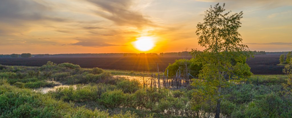 Закат в поле, Новосибирск - Фото с квадрокоптера