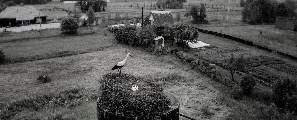 Национальный парк Угра. Деревня Матово,  - Фото с квадрокоптера
