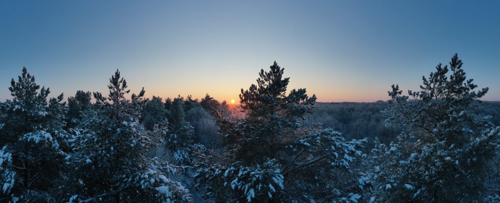 Зимний лес с высоты птичьего полета