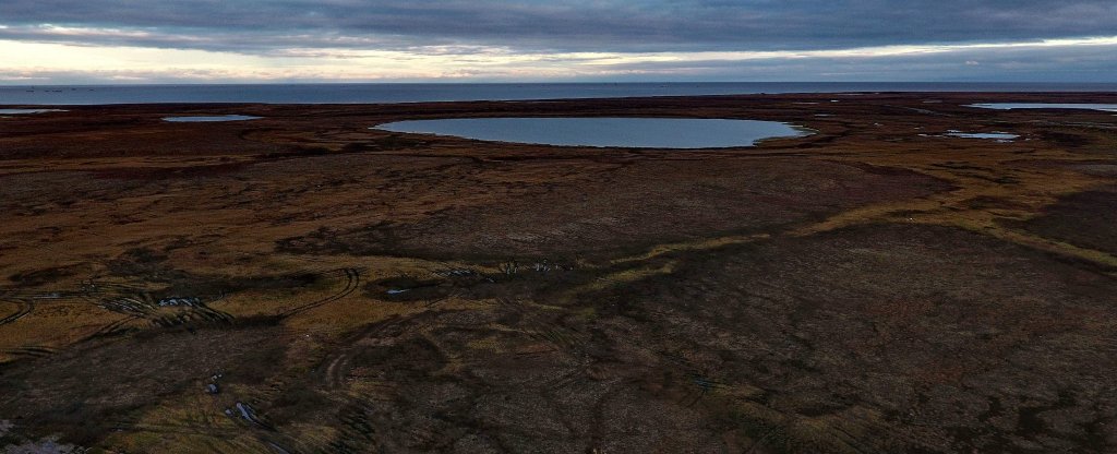 Тундра,  - Фото с квадрокоптера