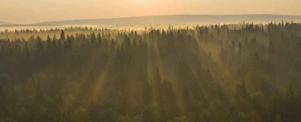 Утро,  - Фото с квадрокоптера