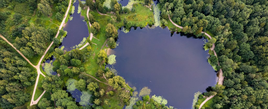 Шуваловские пруды, Санкт-Петербург - Фото с квадрокоптера