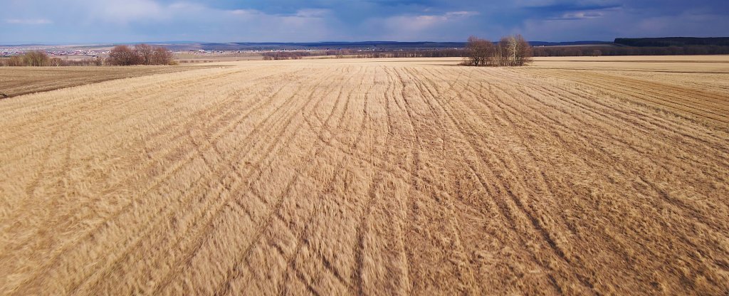 Поля Шаймуратово,  - Фото с квадрокоптера