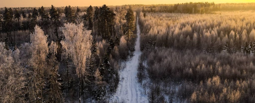 Морозный лес, Ногинск - Фото с квадрокоптера