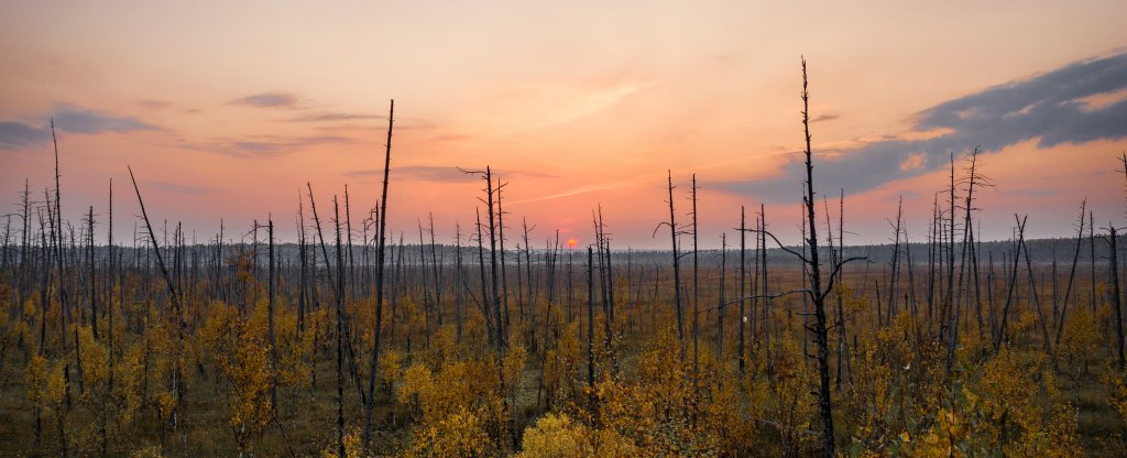 Осень,  - Фото с квадрокоптера