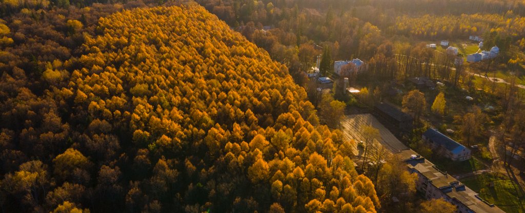 Осенний лес,  - Фото с квадрокоптера