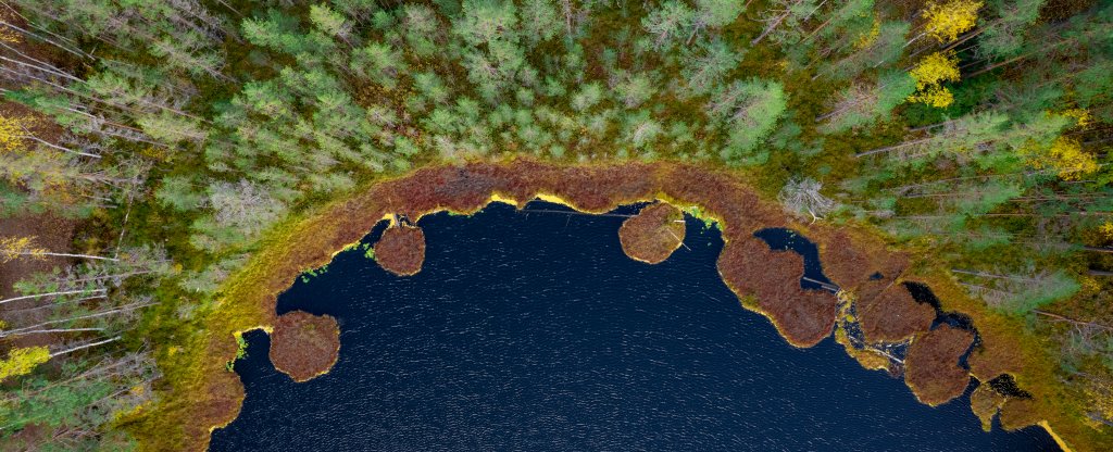 Раздельные озера, Санкт-Петербург - Фото с квадрокоптера