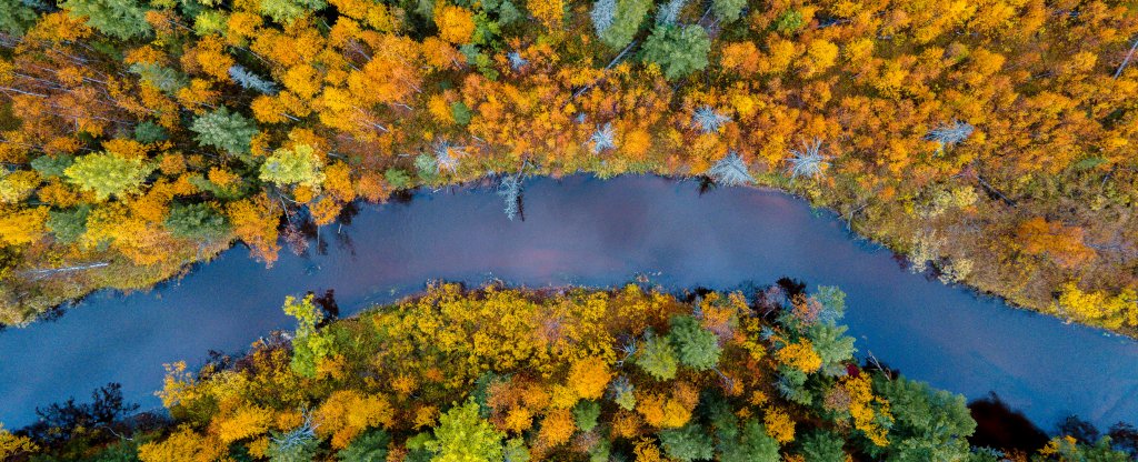 Чирча осенью, Надым - Фото с квадрокоптера