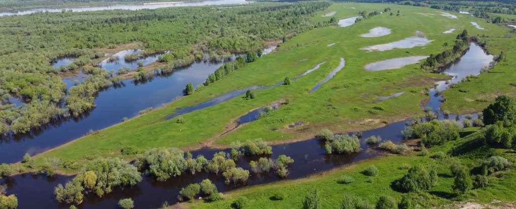 Лес и вода Архангельской области, Коряжма - Фото с квадрокоптера