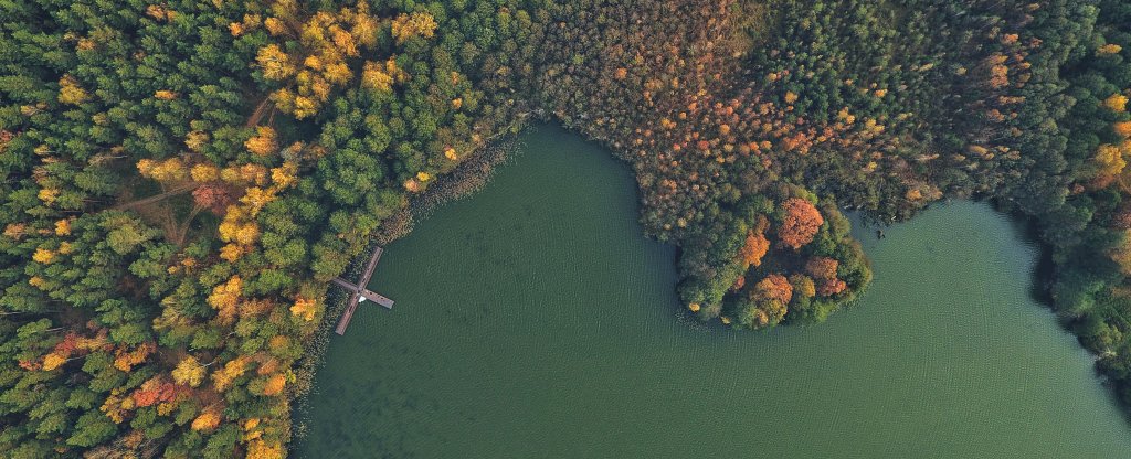 Художественная съёмка: Озеро, Осень,  - Фото с квадрокоптера