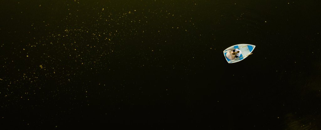 Плывущие по звёздам, Новосибирск - Фото с квадрокоптера