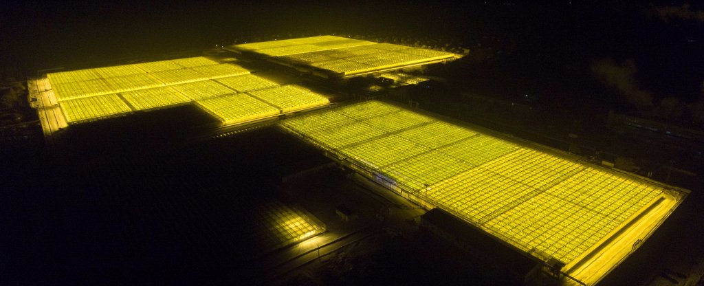 Теплицы, Челябинск - Фото с квадрокоптера