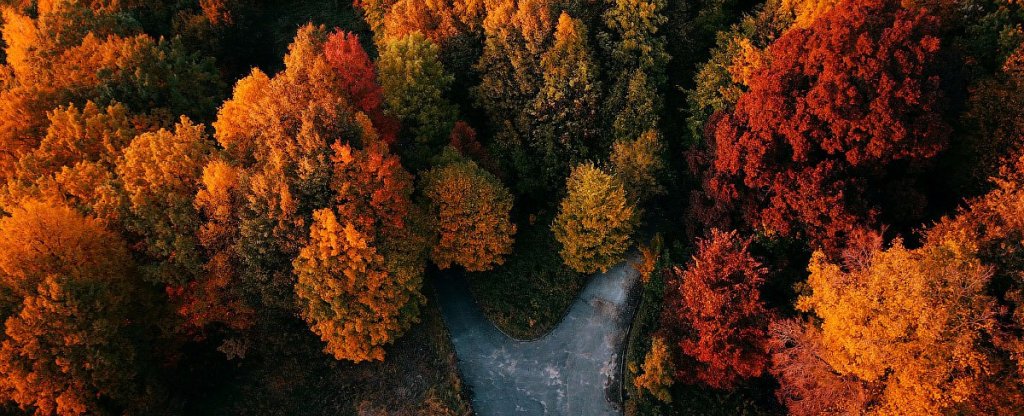 вход в осень, Нижний Новгород - Фото с квадрокоптера