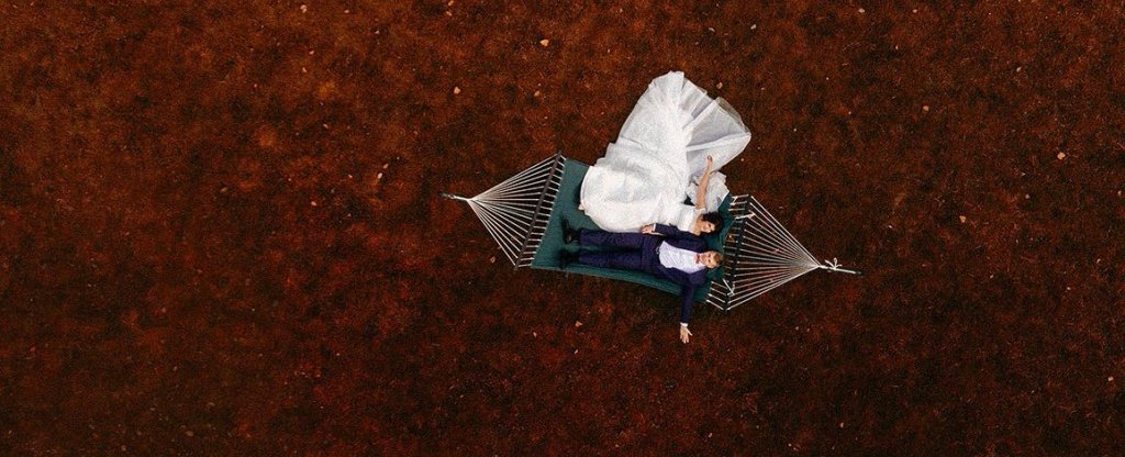 Свадебная прогулка в Белой усадьбе., Новосибирск - Фото с квадрокоптера