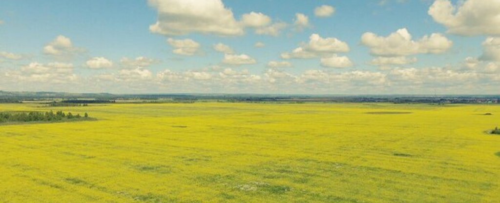 Ранняя осень,  - Фото с квадрокоптера