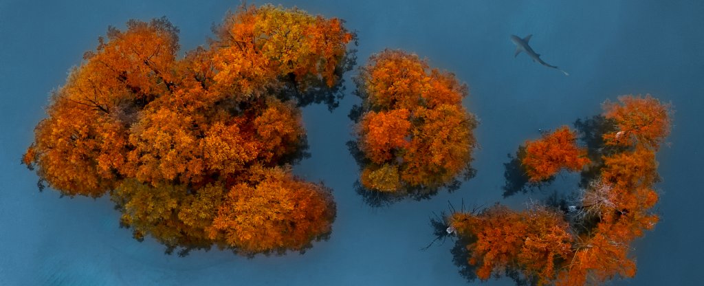 Природа России,  - Фото с квадрокоптера