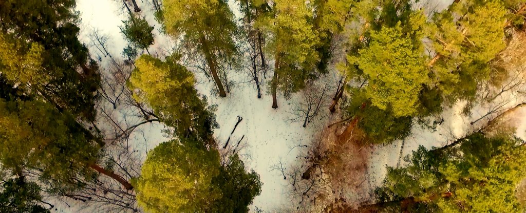 Архыз,  - Фото с квадрокоптера