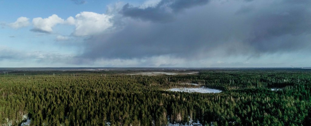 Заснеженный лес, Санкт-Петербург - Фото с квадрокоптера