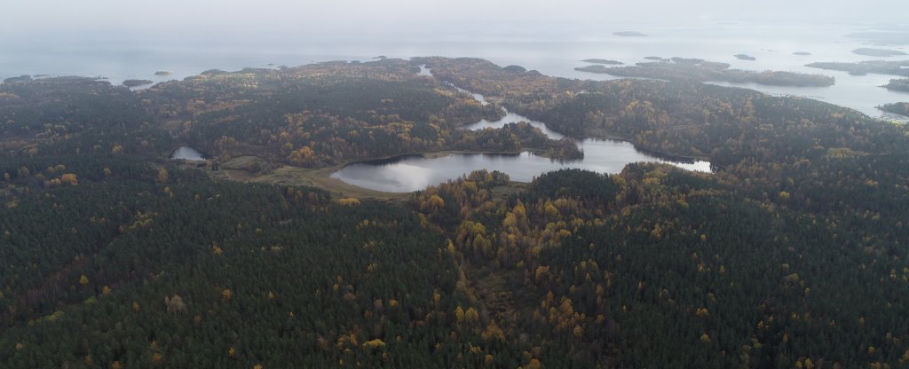 Кочерга, Петрозаводск - Фото с квадрокоптера