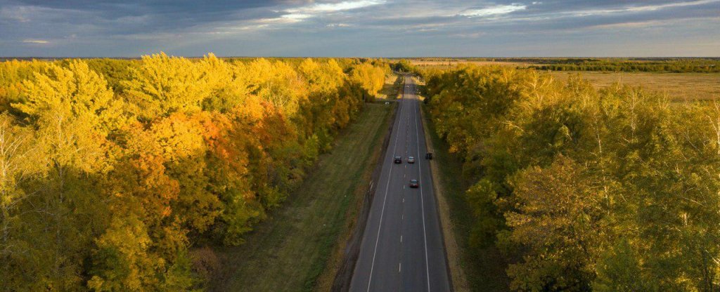 Осеннее солнце листьями падает вниз, Воронеж - Фото с квадрокоптера