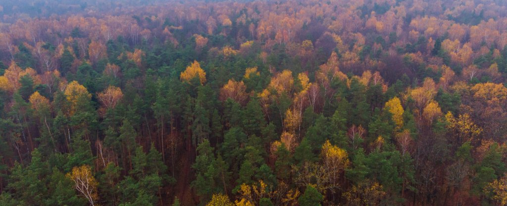 Московская область город Дзержинский,  - Фото с квадрокоптера