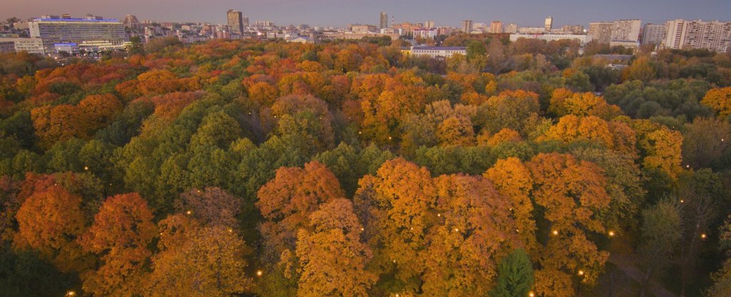 Осень в Лефортовском парке, Москва - Фото с квадрокоптера