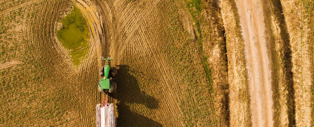 Трактор в поле, Калининград - Фото с квадрокоптера
