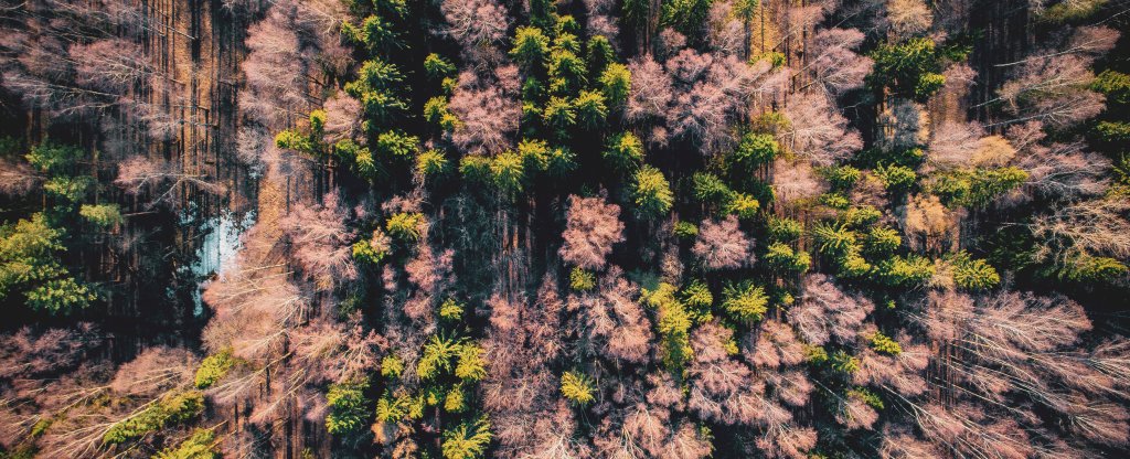 Наступила весна, снег растаял,  - Фото с квадрокоптера